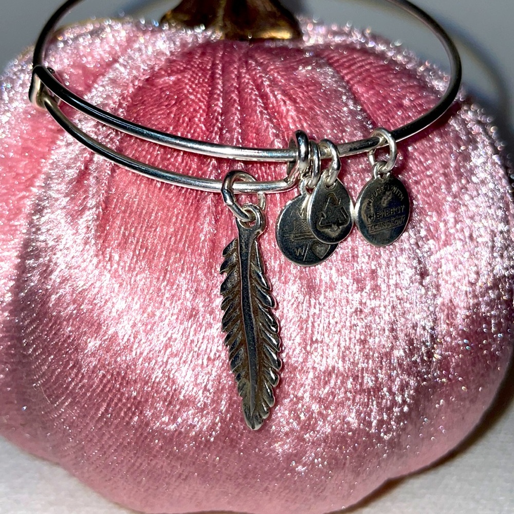 ALEX AND ANI Feather - Picture 2 of 4